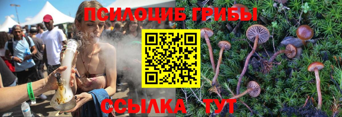 Псилоцибиновые грибы прущие грибы  Псилоцибиновые грибы Psilocybine cubensis  Татарск  Вход с VPN 