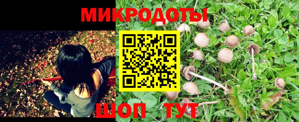 Псилоцибиновые грибы мицелий Татарск